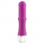 le reve jolie morado