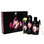 Touch of romance para una noche Romántica SHUNGA
